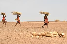 Courtesy of WFP